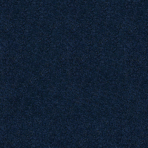 Trident 24 Colours available