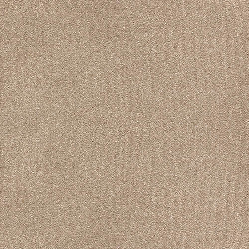 Trident 24 Colours available