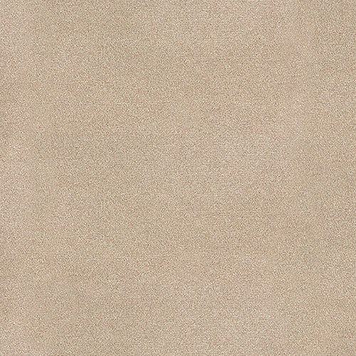 Trident 24 Colours available