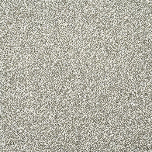 Stainfree Timeless | 11 Colour Options