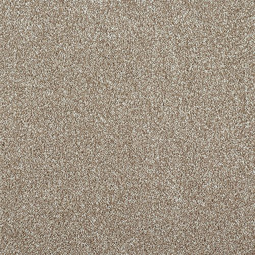 Stainfree Affection | 11 Colour Options