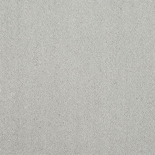 Stainfree Captivation | 17 Colour Options