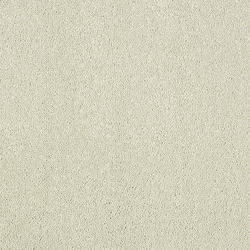 Stainfree Aristocat | 17 Colour Options