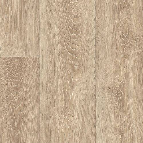 SoftStep Brazil |14 Options Available