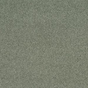 Super Maxim - 18 Colour Options