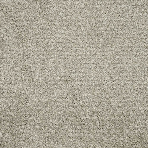 Charme | 10 Colour Options