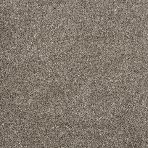 Charme | 10 Colour Options