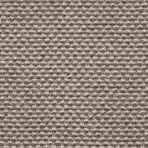 Dakar | 6 Colours Available