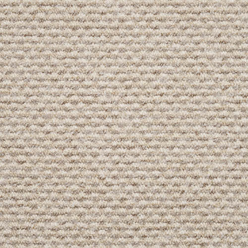 Dakar | 6 Colours Available