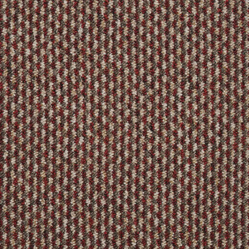 Dakar | 6 Colours Available