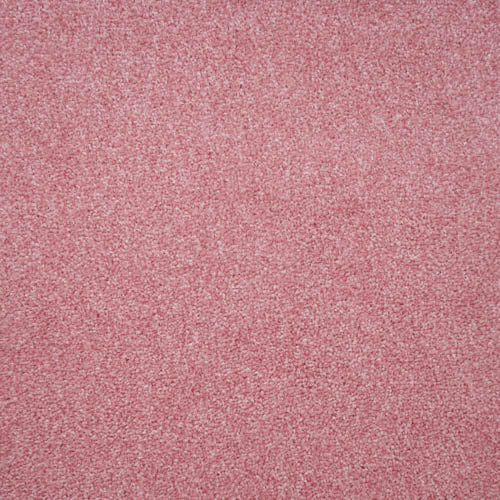 Harmony | 12 Colour Options