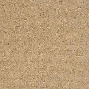 Super Maxim - 18 Colour Options