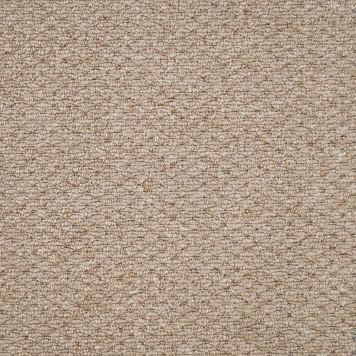 Sahara | 7 Colours Available