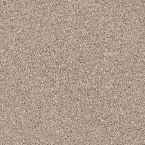 Renaissance | 12 Colour Options