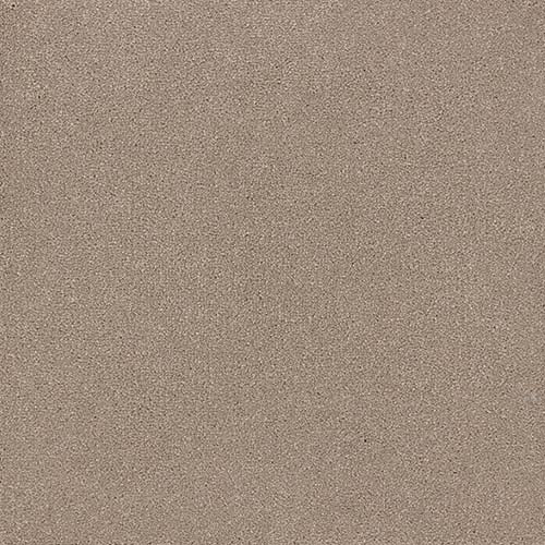 Renaissance | 12 Colour Options