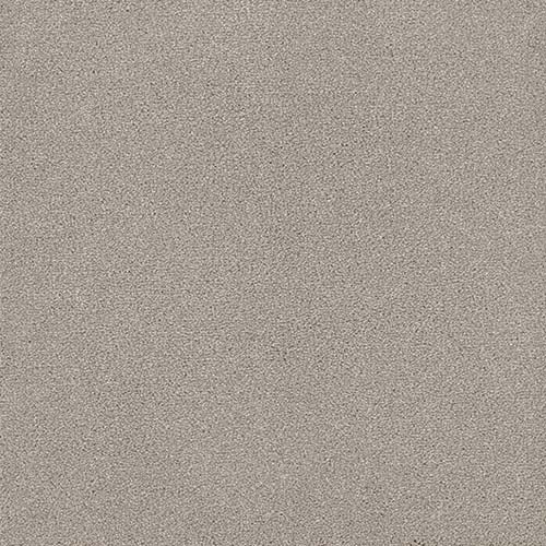 Renaissance | 12 Colour Options
