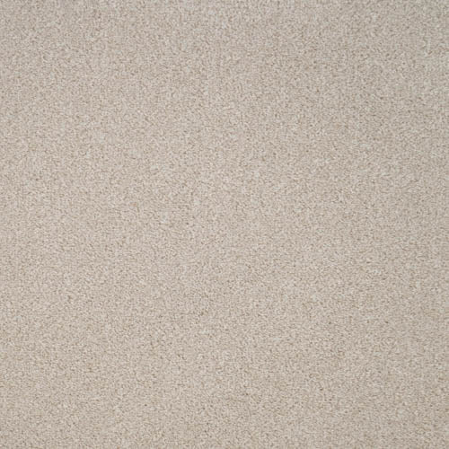 Revelation | 16 Colour Options