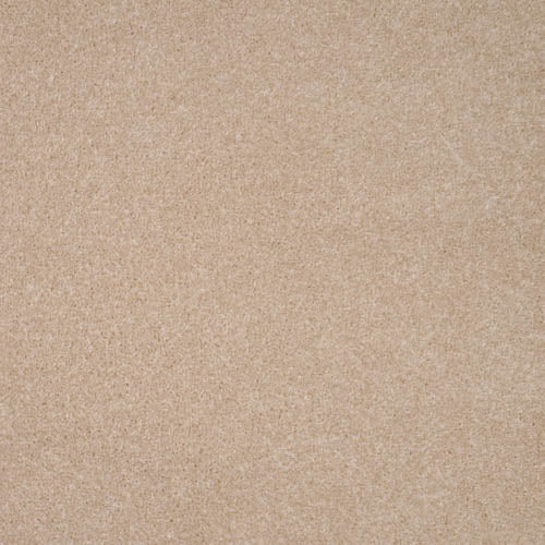 Revelation | 16 Colour Options