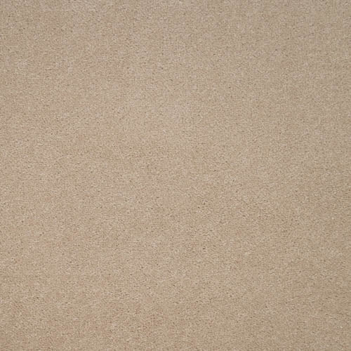 Revelation | 16 Colour Options