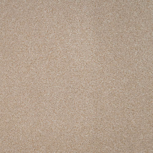 Revelation | 16 Colour Options