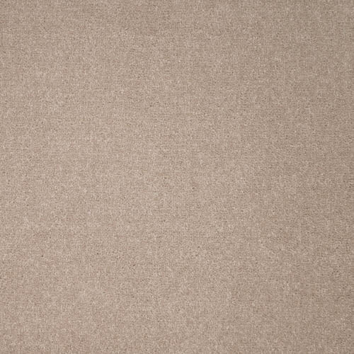 Revelation | 16 Colour Options