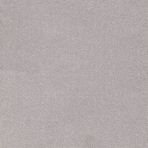 Trident 24 Colours available