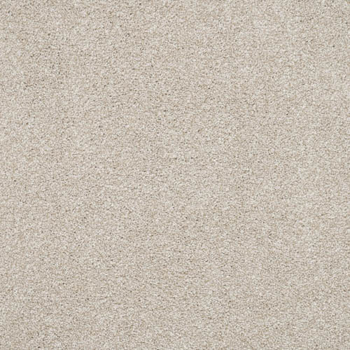 Vivace | 14 Colour Options